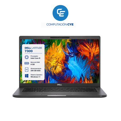 NOTEBOOK DELL CORE I5 7300 8 GB DE RAM Y 256 GB DISCO SSD